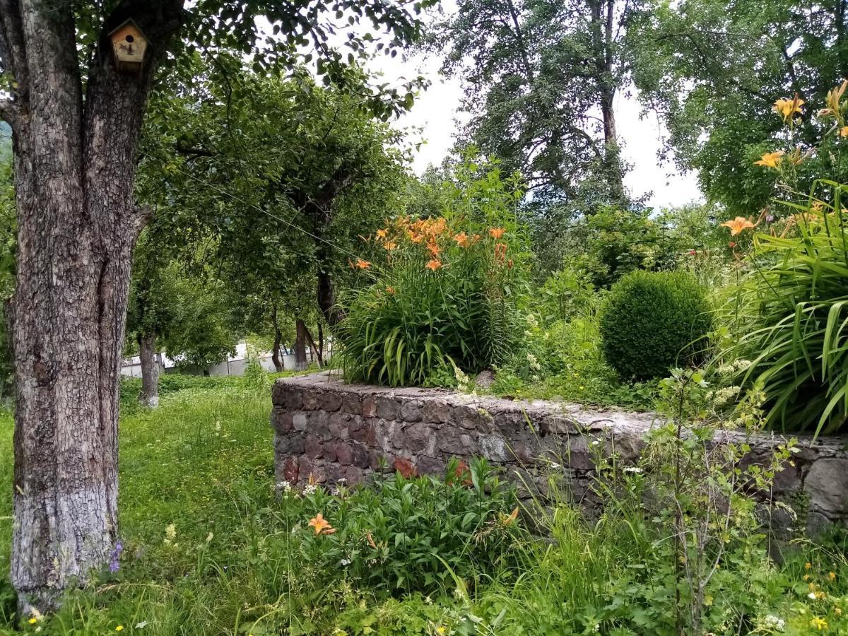 Mti House Hotel Kvesheti Bagian luar foto